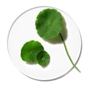 Centella