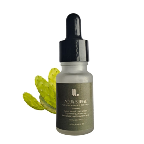 Aqua Surge Niacinamide Serum