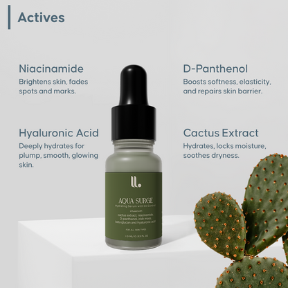 Aqua Surge Niacinamide Serum 10 ml