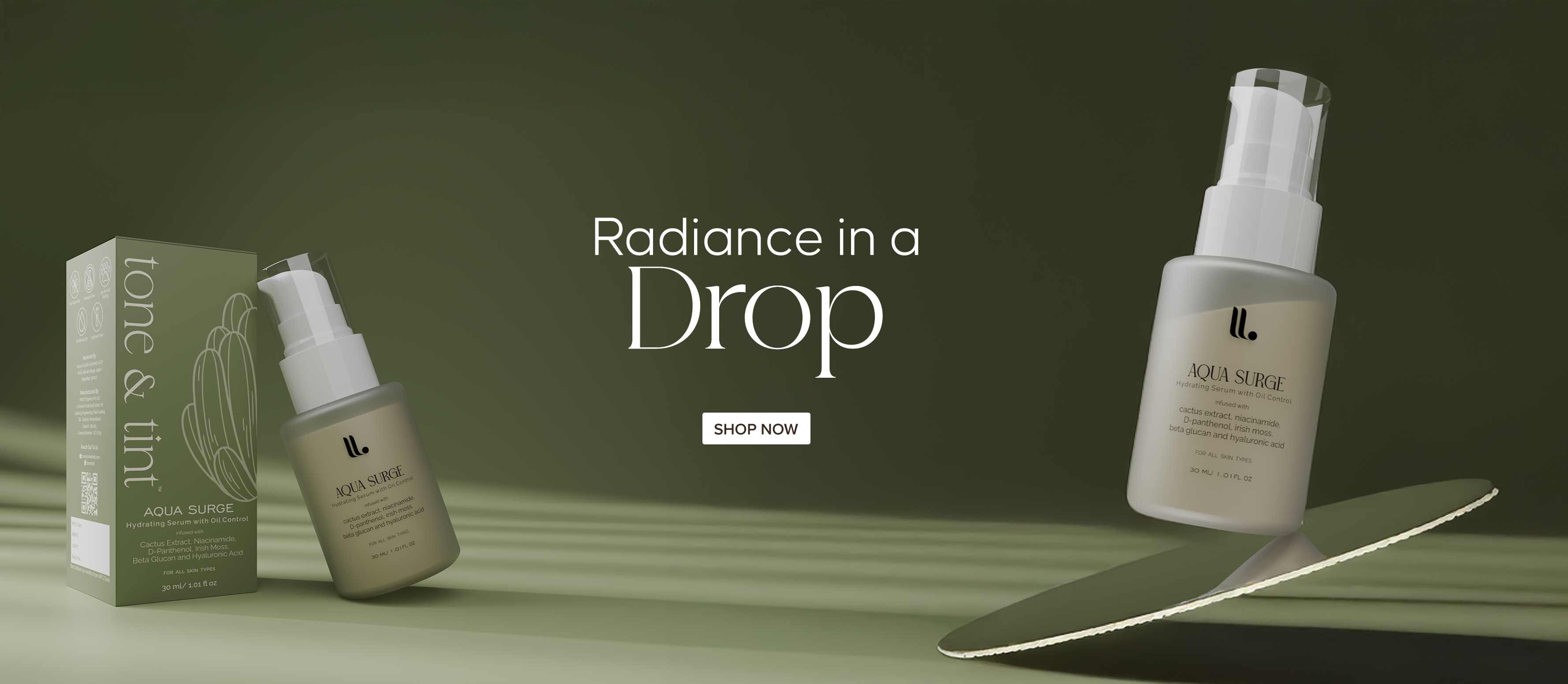 Desktop Slide
